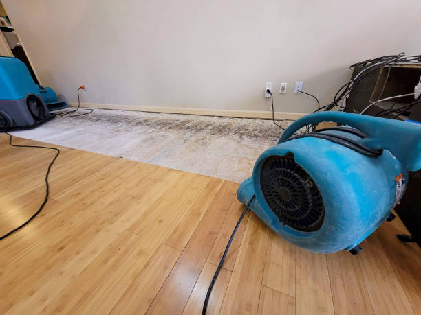 Professional Sewage Cleanup technician working in Briggs, TX